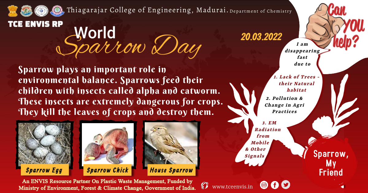 World Sparrow Day 2022